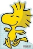 A Best Friend for Woodstock (Board book) - Charles M Schulz Photo