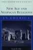 New Age and Neopagan Religions in America (Paperback, New ed) - Sarah M Pike Photo