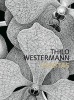 Thilo Westermann: Vanitas (English, German, Hardcover) - Martin Thierer Photo