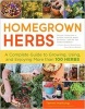 Homegrown Herbs (Paperback) - Tammi Hartung Photo