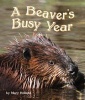 The Beavers' Busy Year (Paperback) - Mary Holland Photo