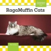 Ragamuffin Cats (Hardcover) - Kate Conley Photo