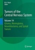 Tumors of the Central Nervous System 2015, Volume 14 - Glioma, Meningioma, Neuroblastoma, and Spinal Tumors (Hardcover) - M A Hayat Photo