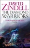 The Diamond Warriors, Book 4 - The EA Cycle (Paperback) - David Zindell Photo