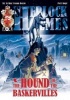 The Hound of the Baskervilles - A Sherlock Holmes Graphic Novel (Paperback) - Petr Kopl Photo