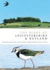 The Birds of Leicestershire and Rutland (Hardcover) - Andrew Harrop Photo