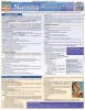 Nursing Assessment (Poster) - Deborah A Raines Photo