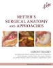 Netter's Surgical Anatomy and Approaches (Hardcover) - Conor P Delaney Photo