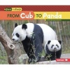 From Cub to Panda (Paperback) - Jennifer Boothroyd Photo