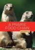 A Prairie Food Chain (Paperback) - A D Tarbox Photo