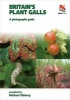 Britain's Plant Galls - A Photographic Guide (Paperback, New) - Michael Chinery Photo