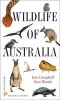 Wildlife of Australia? (Paperback, New) - Iain Campbell Photo