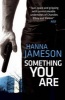 Something You Are (Paperback) - Hanna Jameson Photo