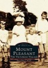 Mount Pleasant - The Victorian Village (Paperback) - Mary Julia C Royall Photo