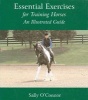 Essential Exercises for Training Horses - An Illustrated Guide (Hardcover, illustrated edition) - Sally OConnor Photo