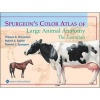 Spurgeon's Color Atlas of Large Animal Anatomy - The Essentials (Paperback) - Thomas O McCracken Photo