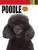 Poodle (Hardcover) - Dog Fancy Magazine Photo