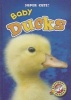 Baby Ducks (Hardcover) - Christina Leaf Photo