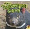 I Am a Tasmanian Devil (Paperback) - Alexis Roumanis Photo