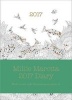  2017 Diary - Featuring Illustrations from Wild Savannah (Hardcover) - Millie Marotta Photo