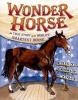 Wonder Horse - The True Story of the World's Smartest Horse (Hardcover) - Emily Arnold McCully Photo