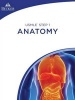 USMLE Step 1 Anatomy (Bundle - Ed. 1) (Paperback) - Jack Wilson Photo