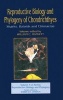 Reproductive Biology and Phylogeny of Chondrichthyes - Sharks, Batoids and Chimaeras (Hardcover) - William C Hamlett Photo