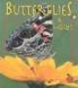 Butterflies and Moths (Paperback) - Bobbie Kalman Photo