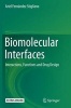 Biomolecular Interfaces - Interactions, Functions and Drug Design (Paperback) - Ariel Fernandez Stigliano Photo