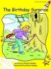 Birthday Surprise, Level 2 - Early (Paperback, International edition) - Pam Holden Photo