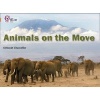 Animals on the Move - Band 12/Copper (Paperback) - Deborah Chancellor Photo