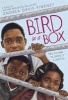 Bird in a Box (Paperback) - Andrea Davis Pinkney Photo