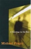 A Landing on the Sun (Paperback, Main) - Michael Frayn Photo