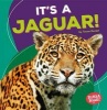 It&#39;s a Jaguar! (Paperback) - Tessa Kenan Photo