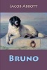 Bruno (Paperback) - Jacob Abbott Photo