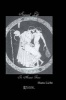 Sexual Life in Ancient Greece (Hardcover, New Ed) - Hans Licht Photo