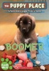 Boomer (the Puppy Place #37) (Paperback) - Ellen Miles Photo