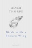 Birds with a Broken Wing (Paperback) - Adam Thorpe Photo