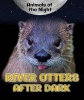 River Otters After Dark (Hardcover) - Heather Moore Niver Photo