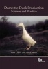 Domestic Duck Production - Science and Practice (Hardcover) - Peter Cherry Photo