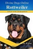 Rottweiler (Paperback) - Mychelle Klose Photo