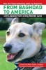 From Baghdad to America - Life Lessons from a Dog Named Lava (Hardcover) - Jay Kopelman Photo