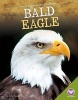 Bald Eagle (Hardcover) - Anita Yasuda Photo