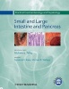 Practical Gastroenterology and Hepatology - Small and Large Intestine and Pancreas (Hardcover) - Nicholas J Talley Photo