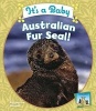 It's a Baby Australian Fur Seal! (Hardcover) - Katherine Hengel Photo