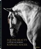 Equine Beauty (Hardcover, Revised edition) - Raphael Macek Photo