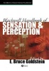 The Blackwell Handbook of Sensation and Perception (Paperback) - E Bruce Goldstein Photo