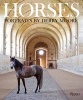 Horses - Portraits by  (Hardcover) - Derry Moore Photo