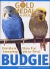 Budgie (Paperback) - Amanda ONeill Photo