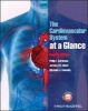 The Cardiovascular System at a Glance (Paperback, 4th Revised edition) - Philip I Aaronson Photo